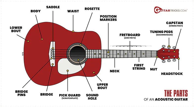 Get to Know Your Guitar