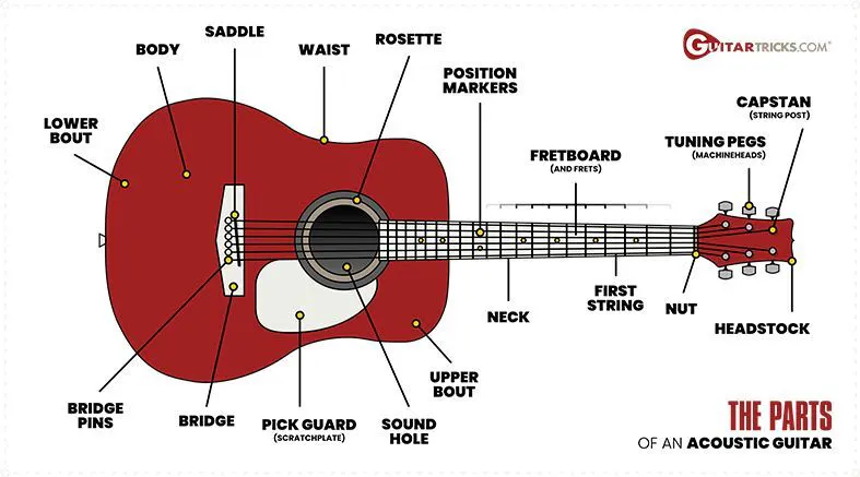 Guitar tuning pegs on headstock
