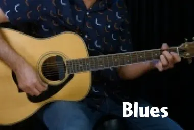 I Got The Blues (Made Easy): Performance
