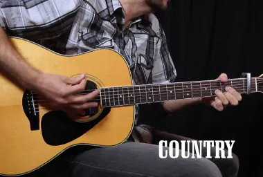 Bellamy Brothers image